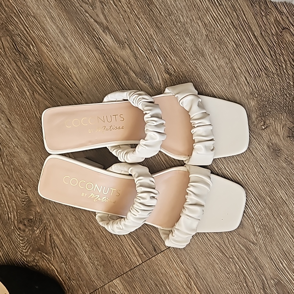 Coconuts size 8M